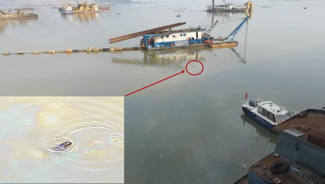 威斯尼斯人wns2233m手机版江西省鄱阳湖保护修复不力 生态环境问题多发